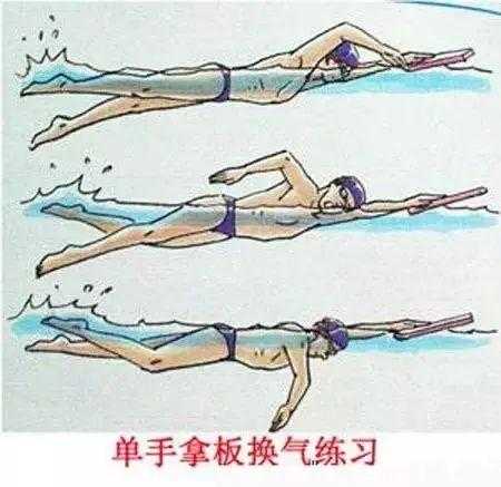 自由泳打腿的技巧（自由泳打腿怎么练）